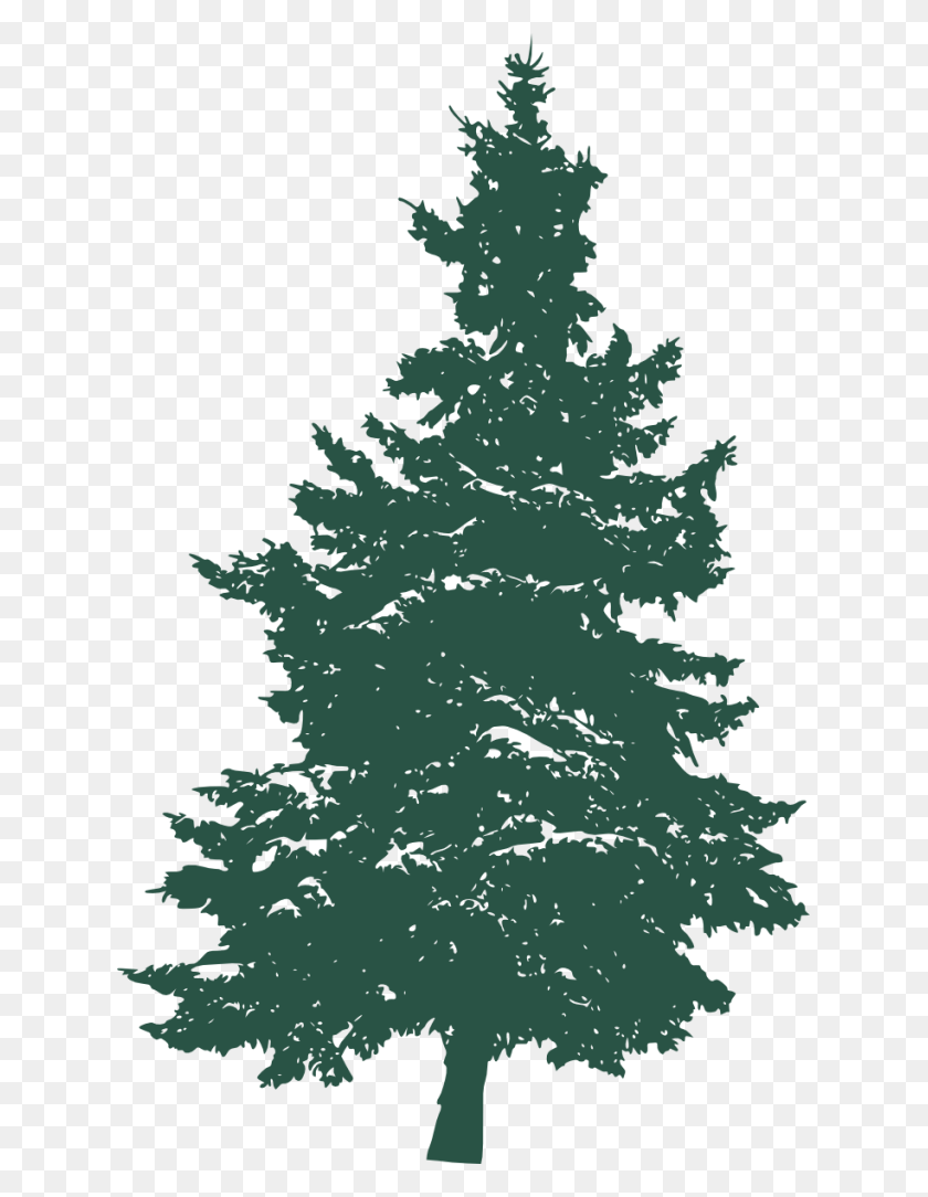 627x1024 Pine Tree Silhouette 3 Pines Tree, Plant, Pine, Fir HD PNG Download
