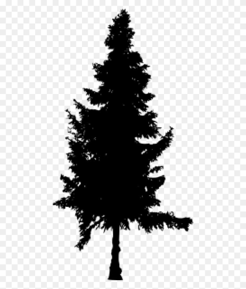 480x924 Pine Tree Silhouette Silhouette Tree Transparent Bg, Plant, Pine, Fir HD PNG Download