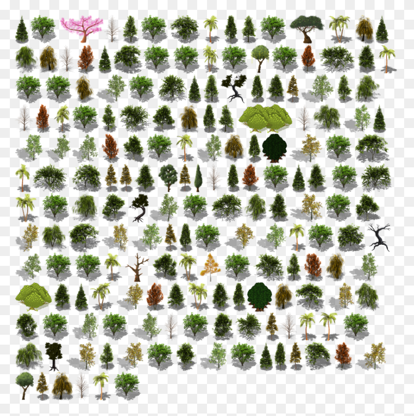 841x847 Pine Tree Sprite Sheet, Green, Vegetation, Plant Descargar Hd Png