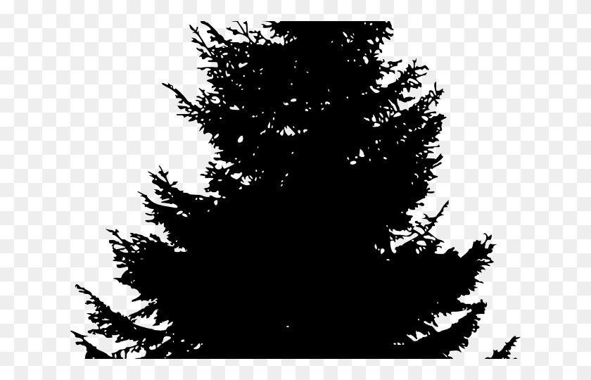 640x480 Pine Trees Silhouette Silhouette Of A Pine Tree, Nature, Outdoors, Tree HD PNG Download