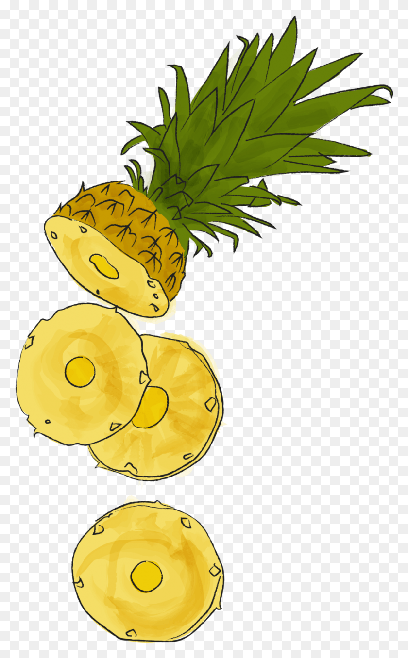857x1424 Pineapple 01 Pineapple, Plant, Fruit, Food HD PNG Download