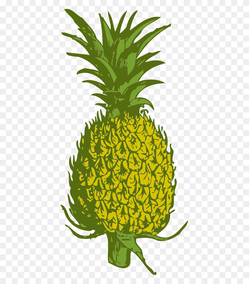 431x900 Pineapple, Plant, Fruit, Food HD PNG Download