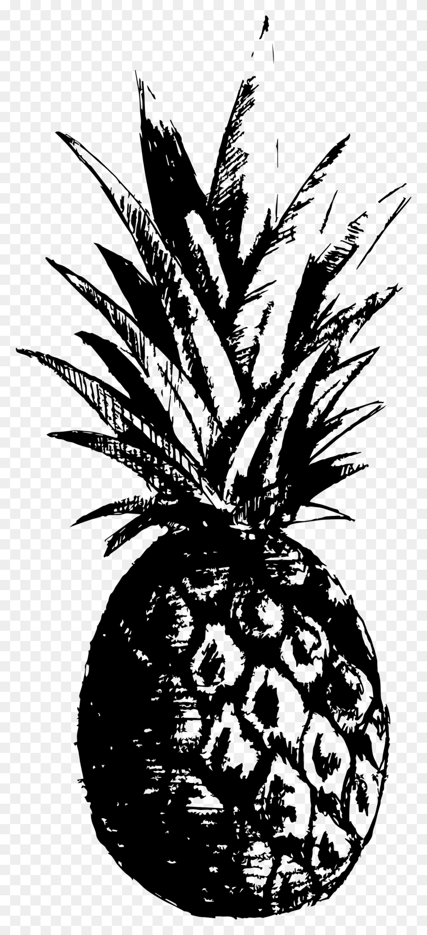 1322x3014 Pineapple, Gray, World Of Warcraft HD PNG Download