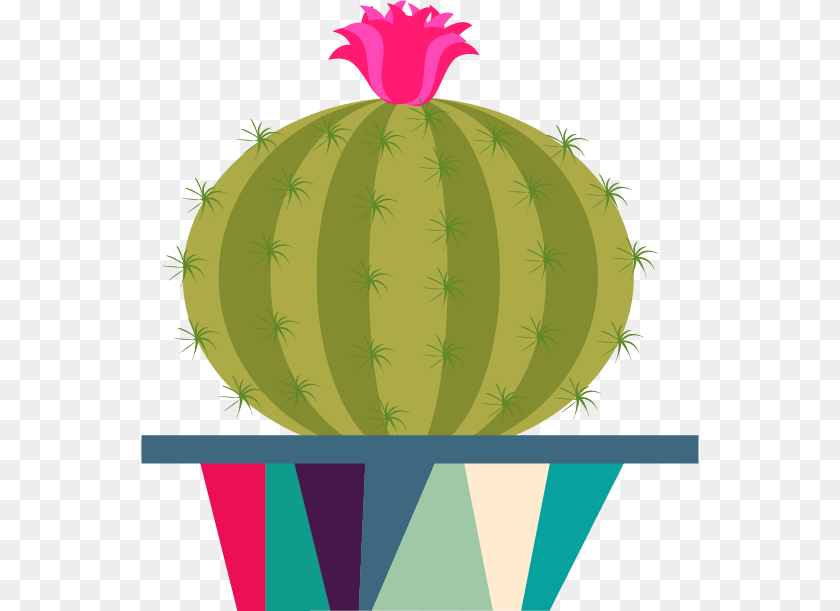 558x611 Pineapple, Animal, Poultry, Fowl, Chicken Sticker PNG