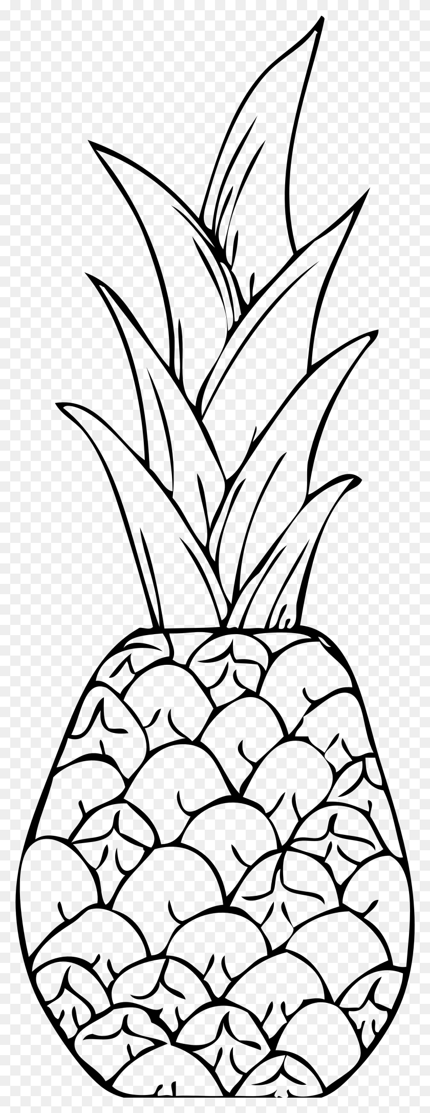 1980x5366 Pineapple Clip Art Fourcoloringpages Pine Apple Clipart Black And White, Gray, World Of Warcraft HD PNG Download