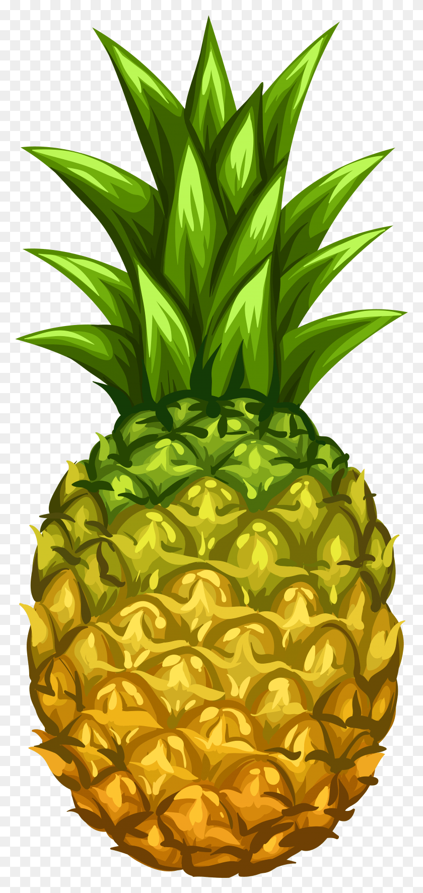 3566x7829 Pineapple Clip Art Image Retro Pineapple Patterns, Plant, Fruit, Food HD PNG Download
