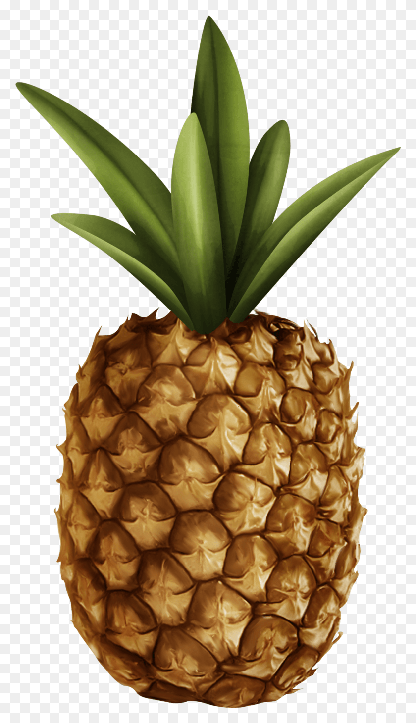 1364x2449 Pineapple Clipart Clipart Of Pineapple, Fruit, Plant, Food HD PNG Download