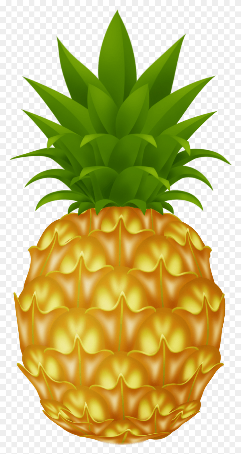 1746x3411 Pineapple Clipart Pineapple Clipart HD PNG Download
