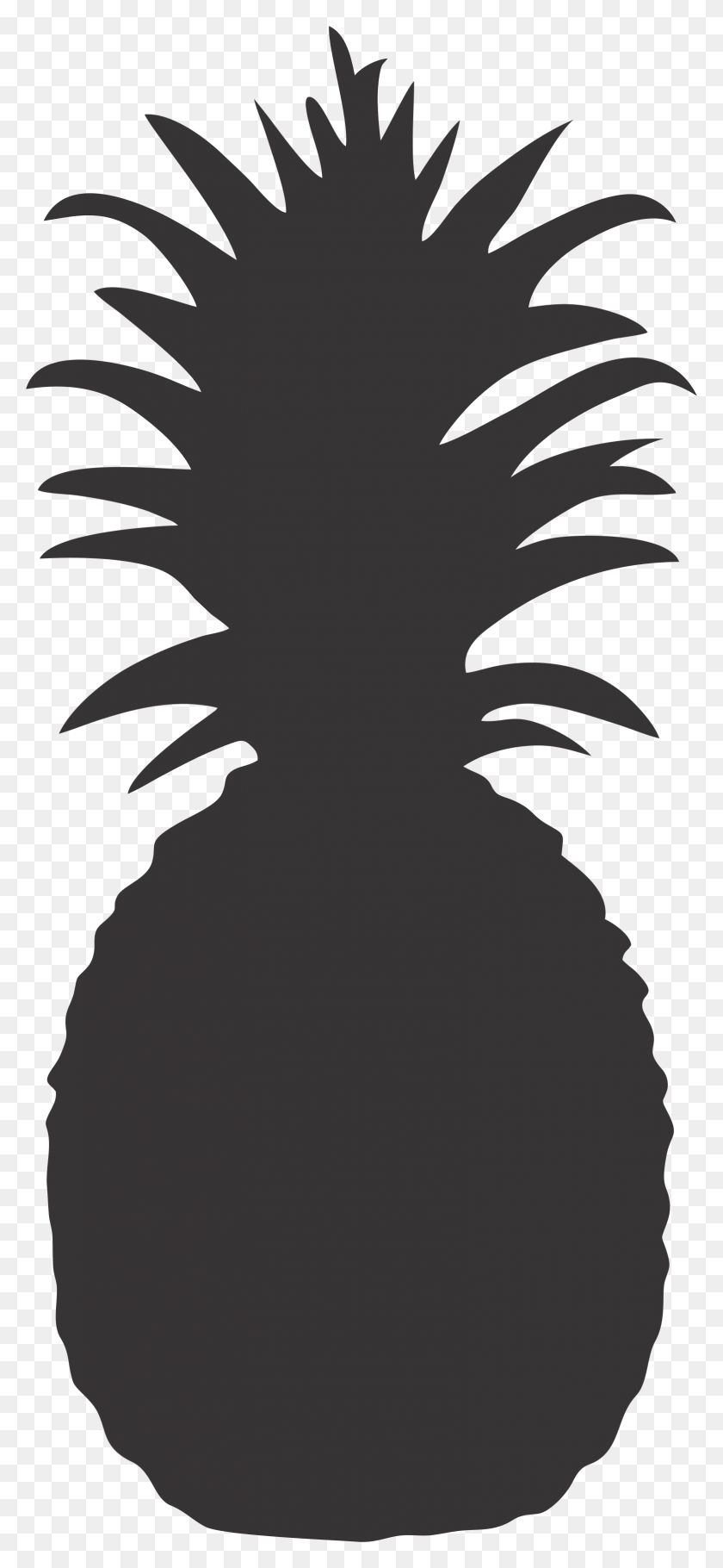 1556x3512 Pineapple Clipart Silhouette, Stencil HD PNG Download