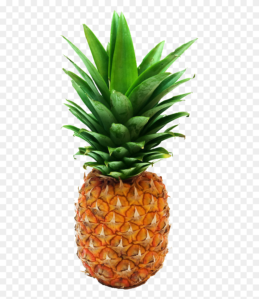 456x907 Pineapple File Pineapple Transparent, Fruit, Plant, Food HD PNG Download