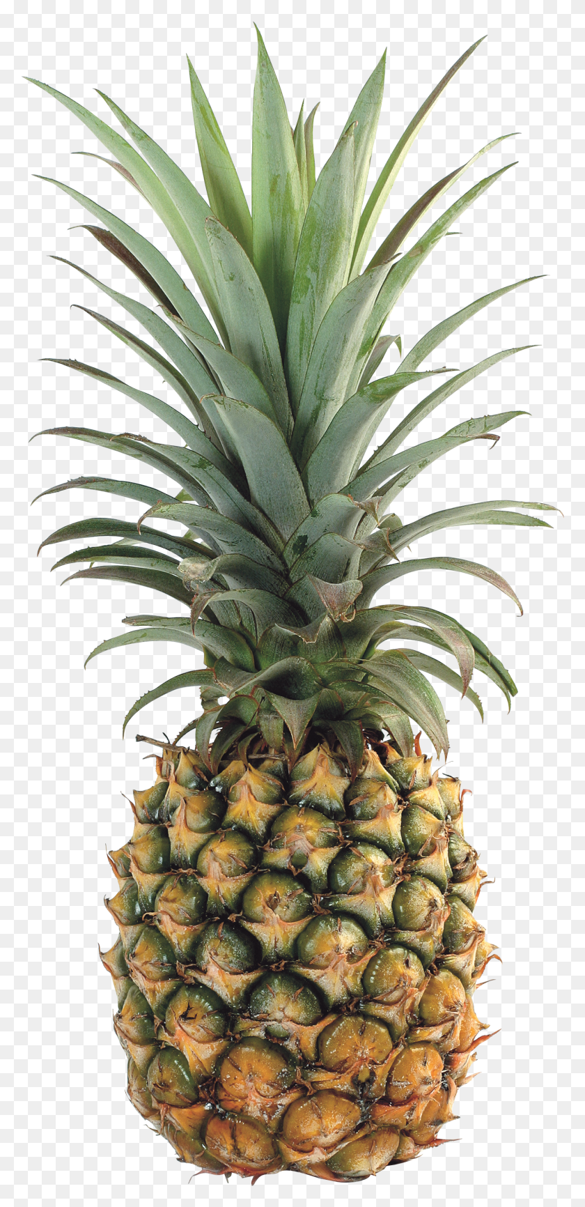 1379x2957 Pineapple Image Free Ananas HD PNG Download