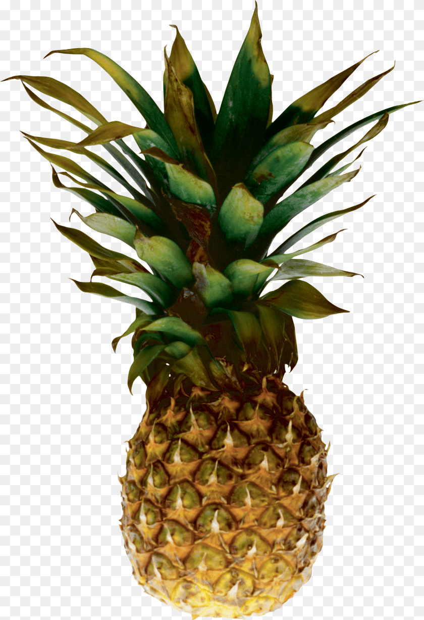 2148x3138 Pineapple Image Free Download Clip Art Pineapple Transparent Background, Robot, Toy PNG