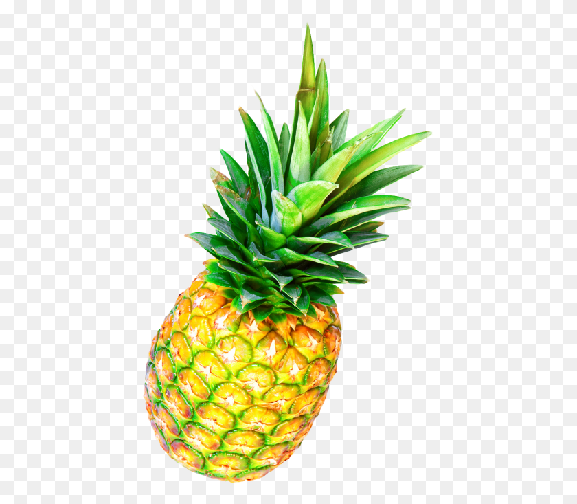 425x673 Pineapple Image Pineapple, Fruit, Plant, Food HD PNG Download