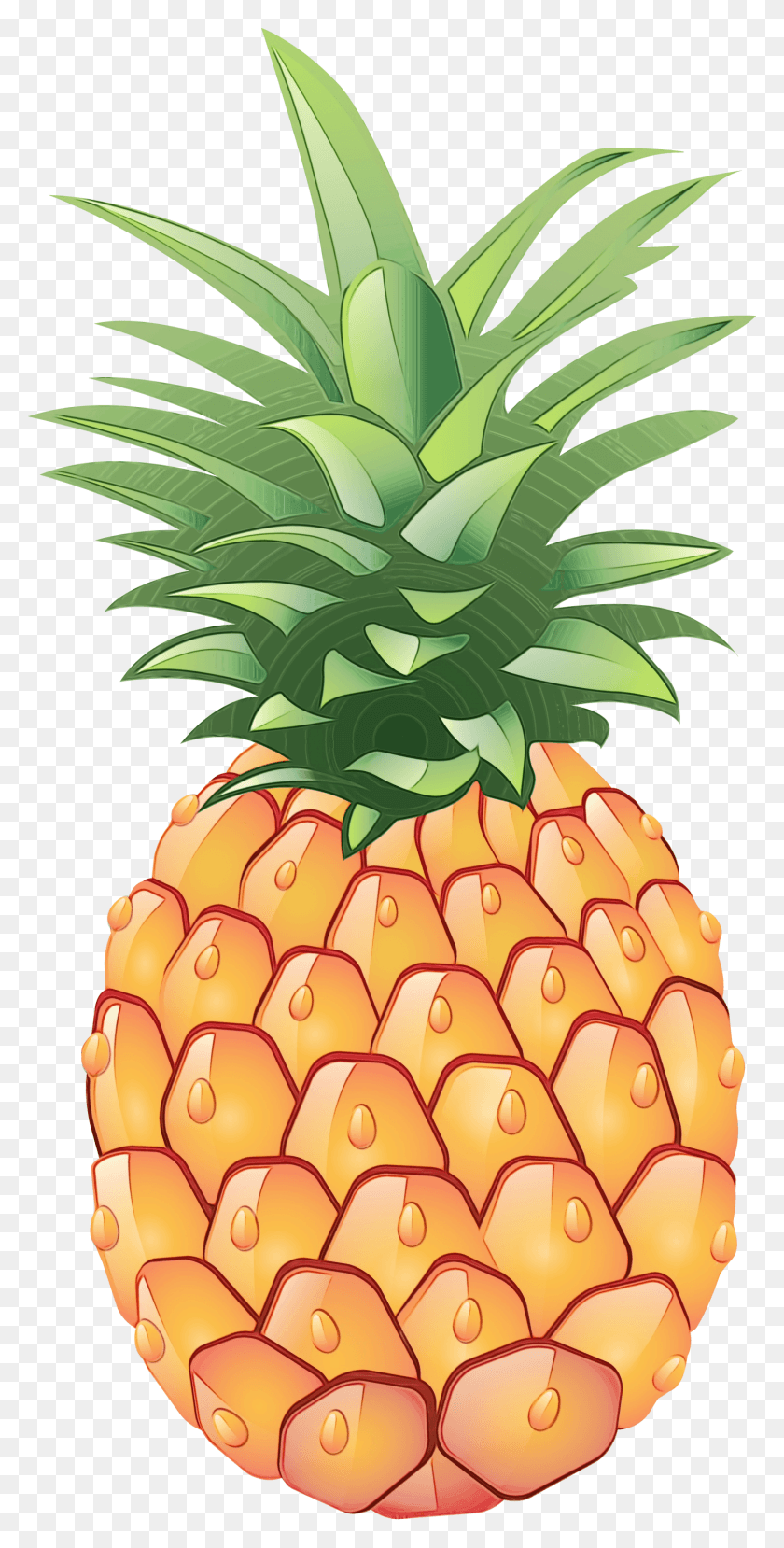 1463x2999 Pineapple Juice Clip Art Portable Network Graphics Transparent Background Fruit Clip Arts, Plant, Food HD PNG Download