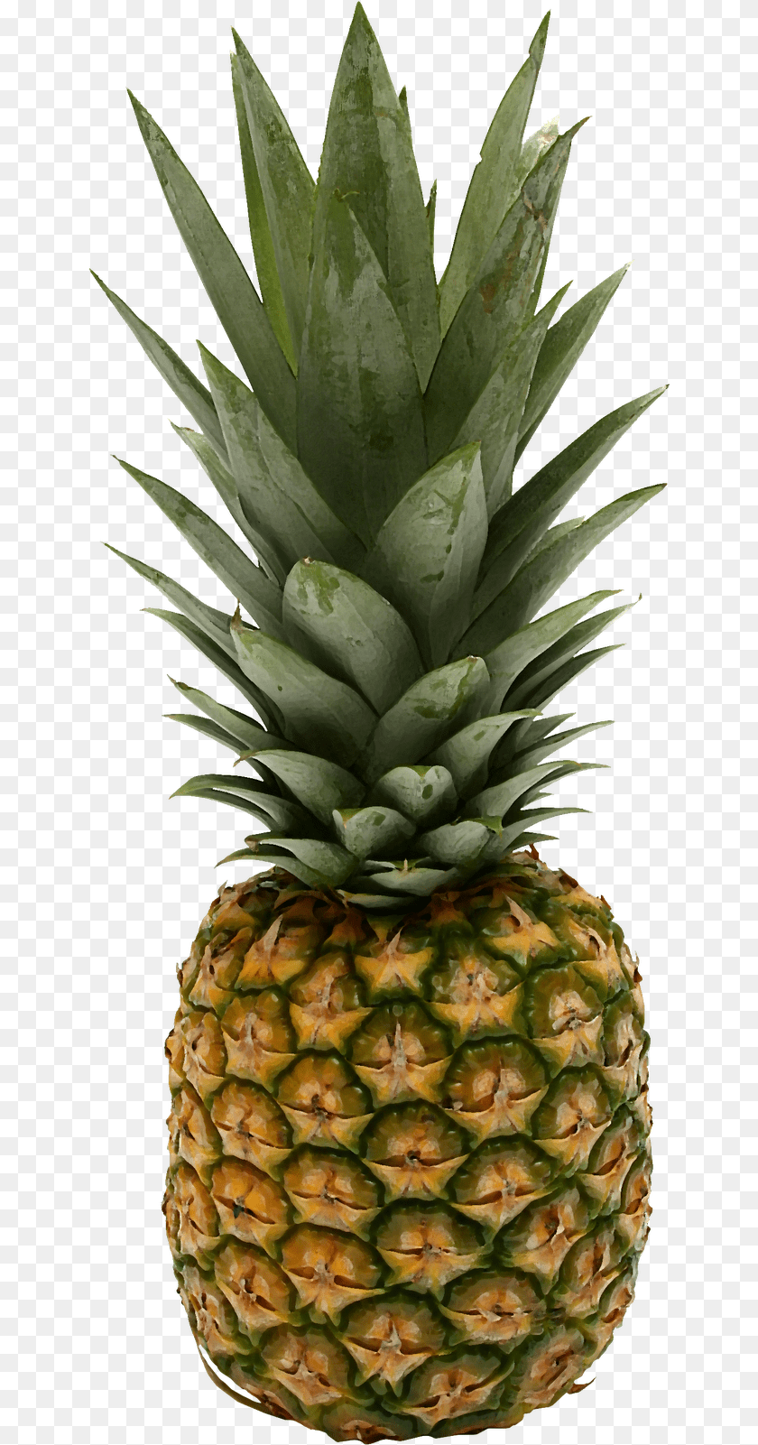 644x1601 Pineapple Small Pics Of Pineapples 643x1600 Pineapple, Food, Fruit, Plant, Produce PNG