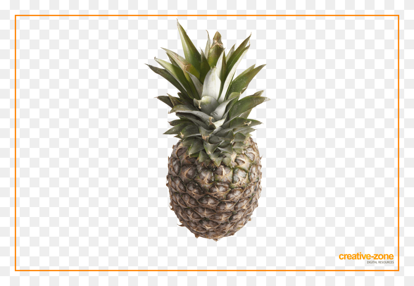 6030x4020 Pineapple Transparent Pineapple HD PNG Download