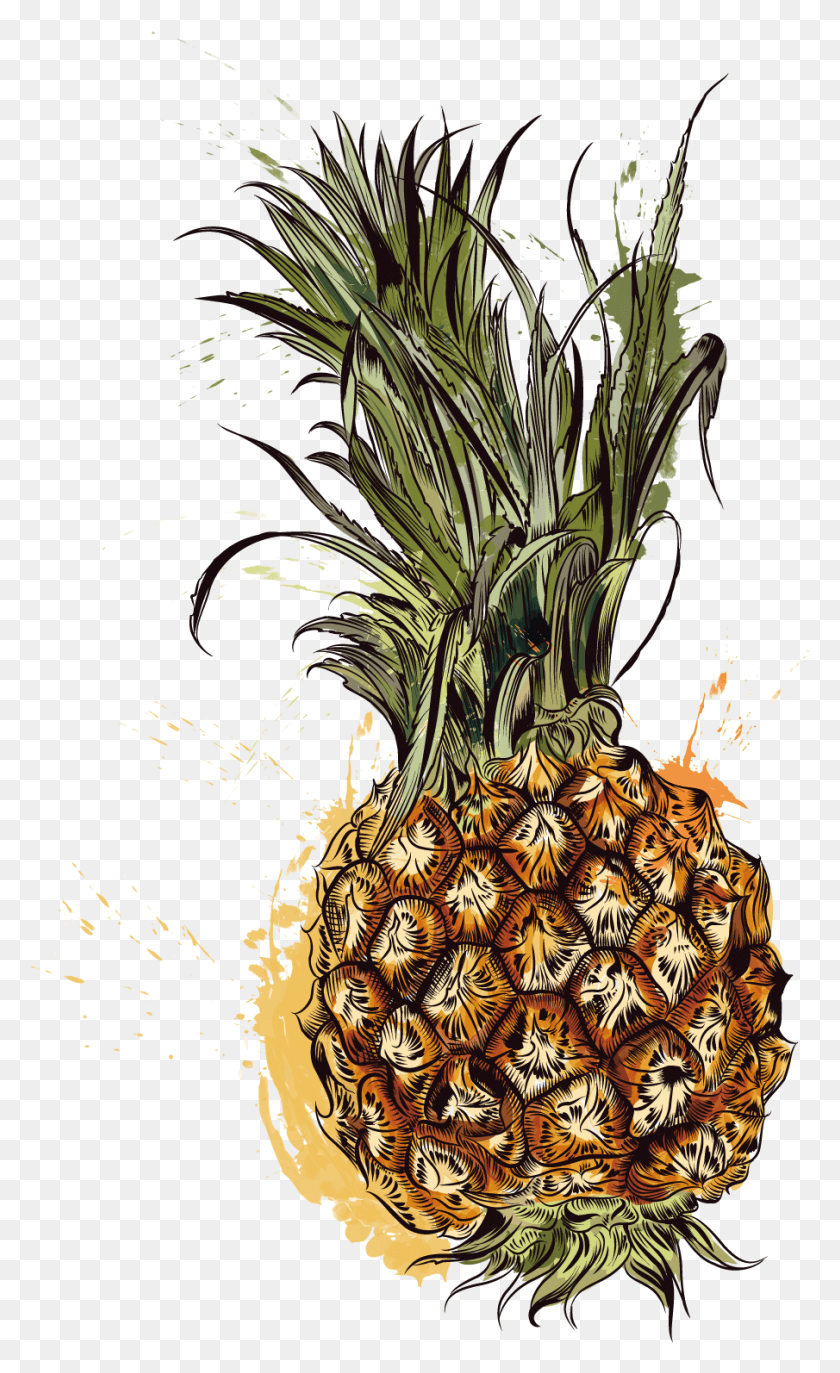 905x1524 Pineapple Tropic Fruits Papier Peint Motifs Ananas, Plant, Fruit, Food HD PNG Download