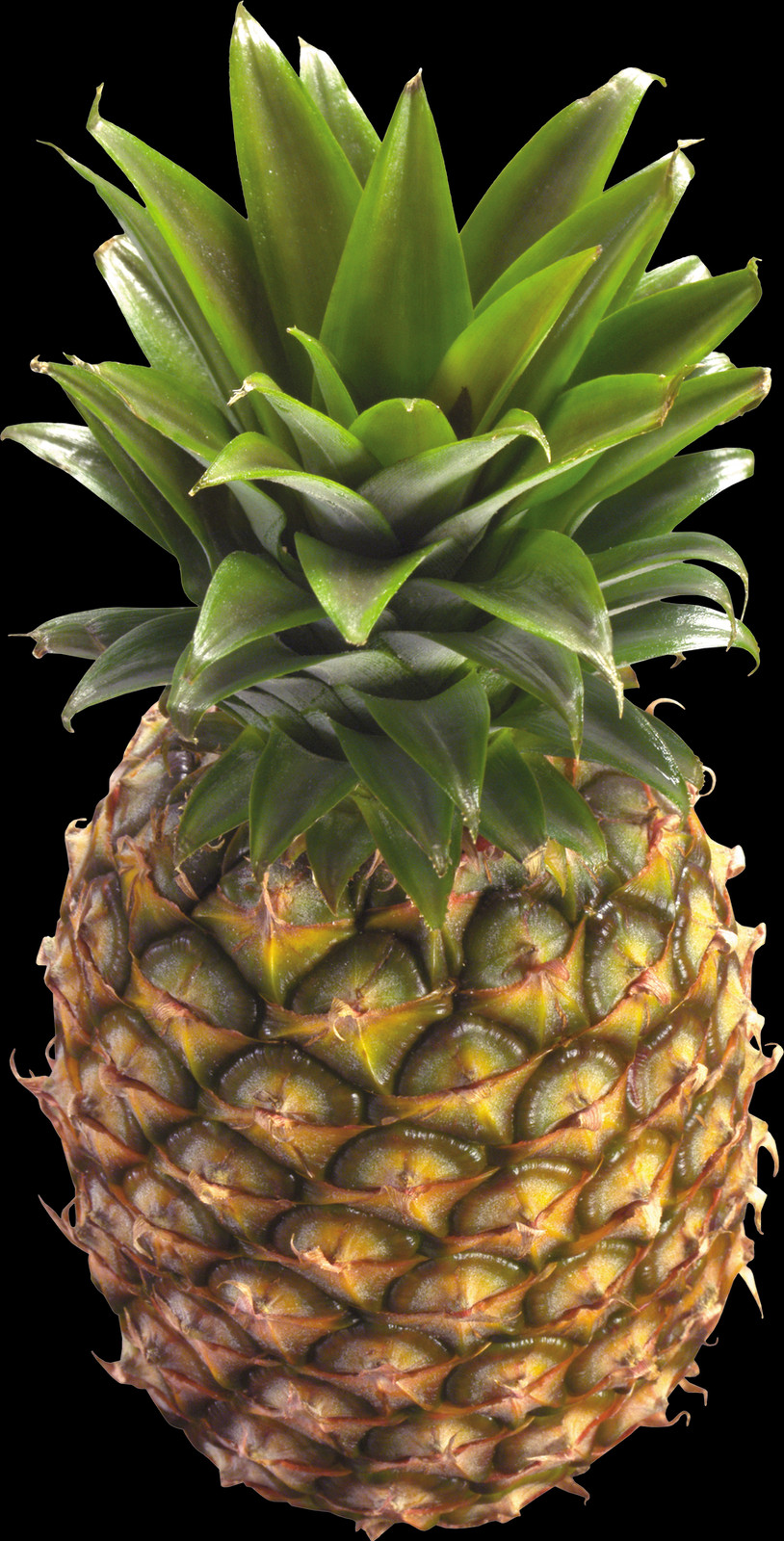 814x1600 Pineapple With A Transparent Background, Fruit, Plant, Food HD PNG Download