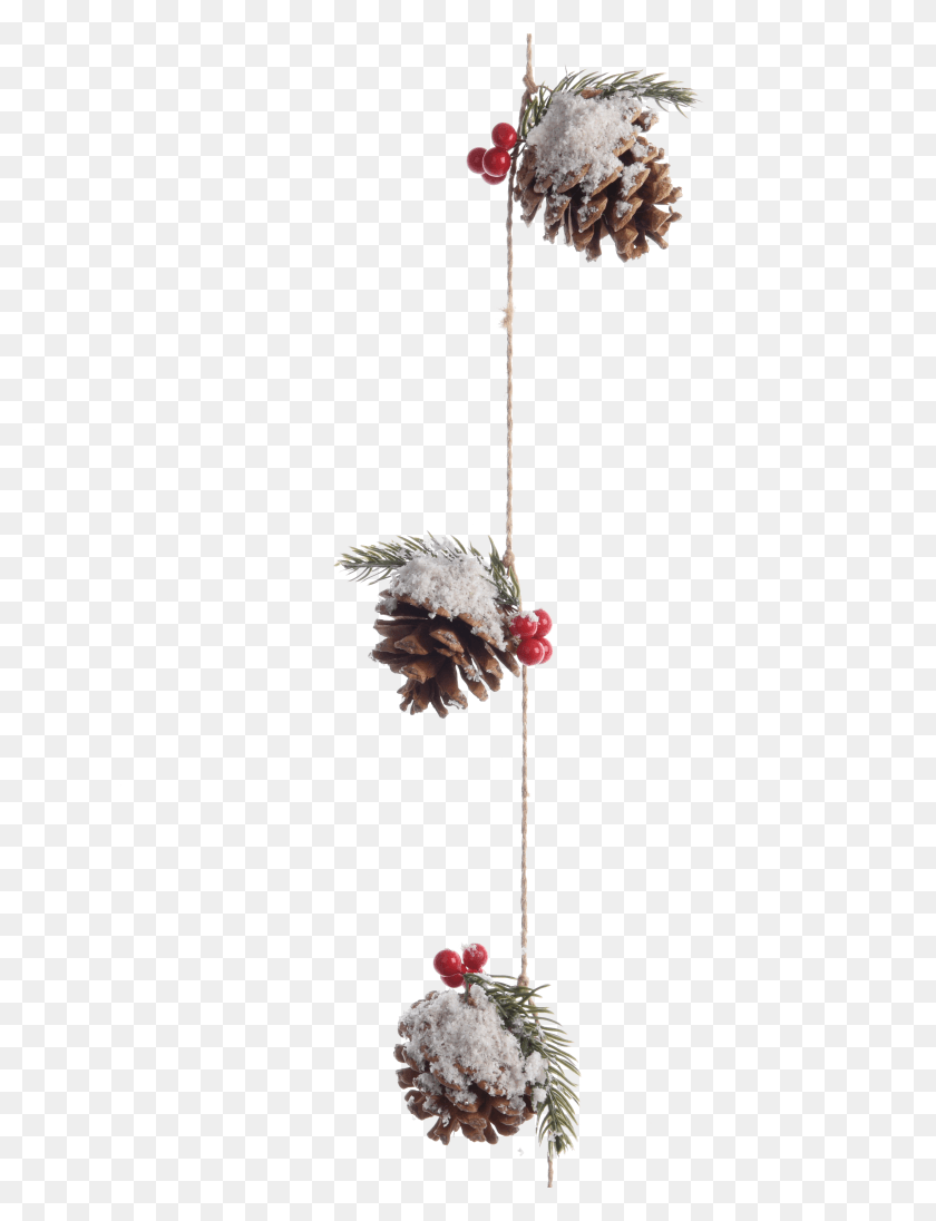 3072x4081 Pinecone Garland With Berries And Snow, Animal, Performer, Ornament Descargar Hd Png