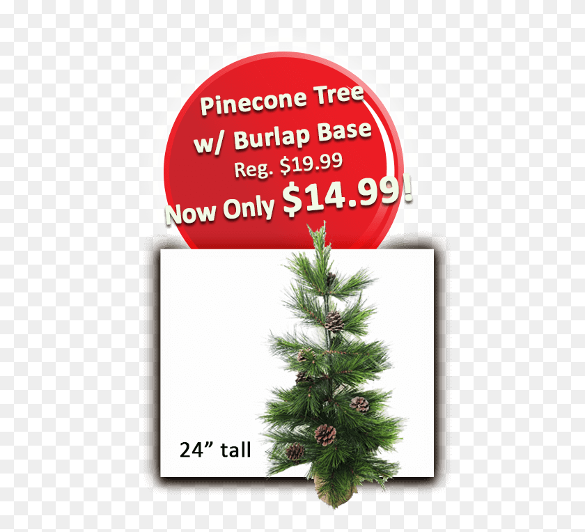 458x704 Pinecone Tree W Burlap Base, Plant, Pine, Ornament HD PNG Download
