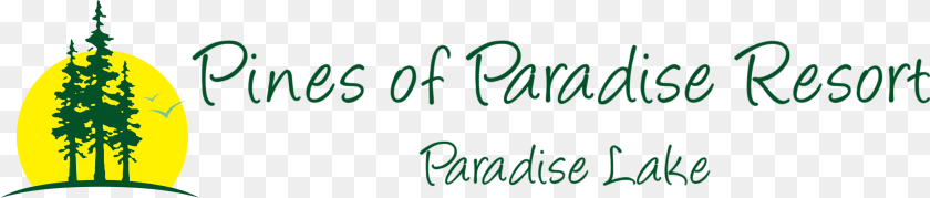 Pines Of Paradise Calligraphy, Green, Outdoors, Blackboard, Nature Transparent PNG
