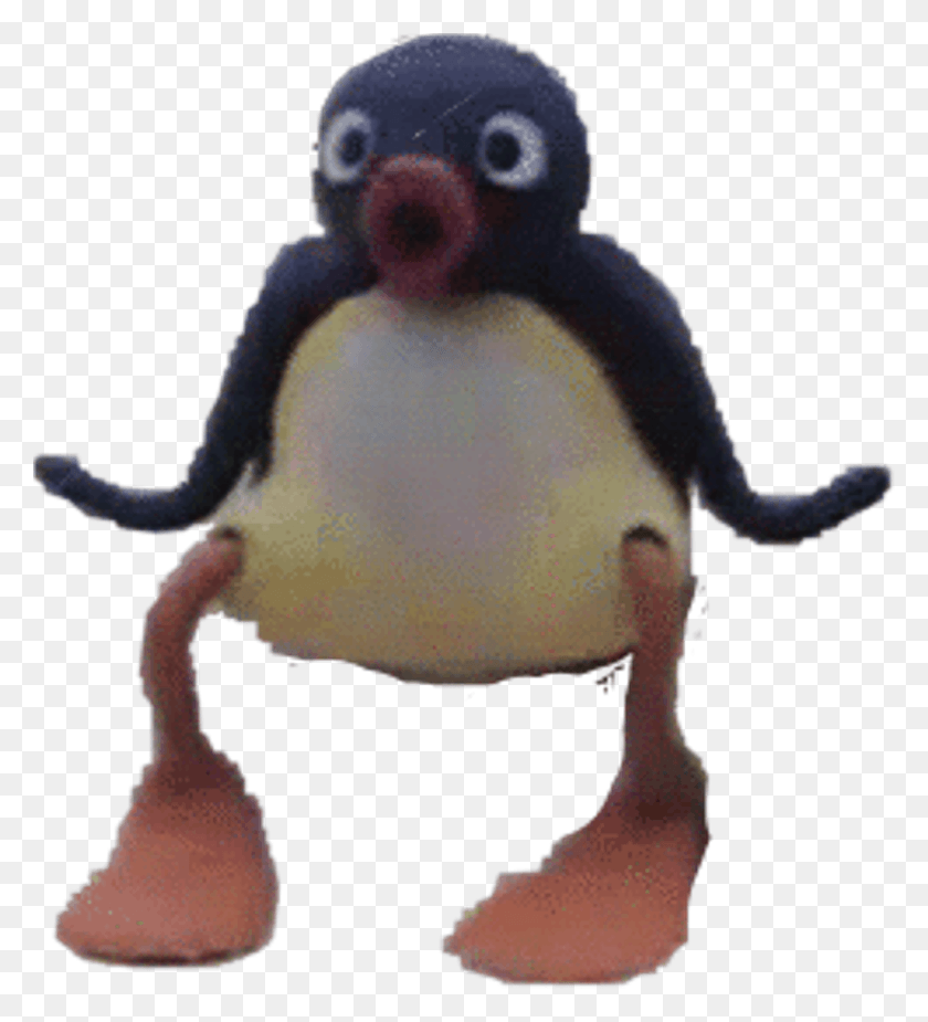 1024x1136 Pingu Sticker Adlie Penguin, Bird, Animal, Person HD PNG Download