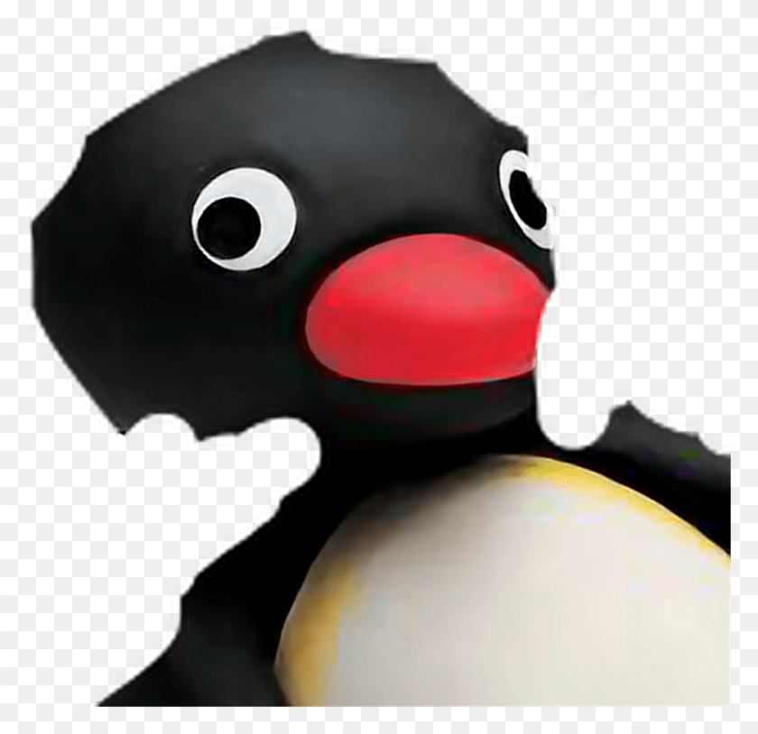 1024x991 Pingu Sticker Duck, Animal, Bird, Beak HD PNG Download