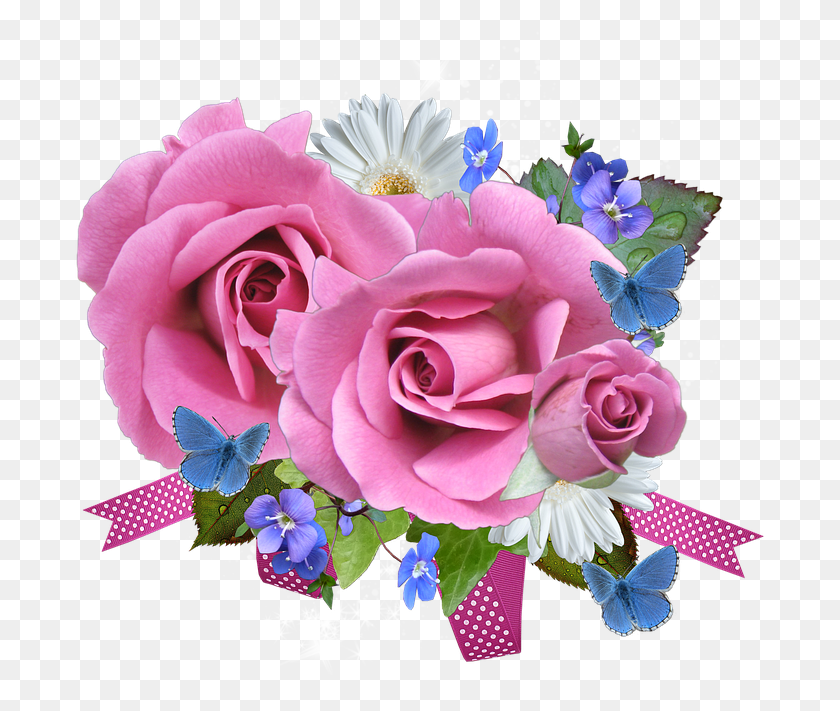 693x651 Розовая И Голубая Роза, Растение, Цветок, Цветение Hd Png Скачать