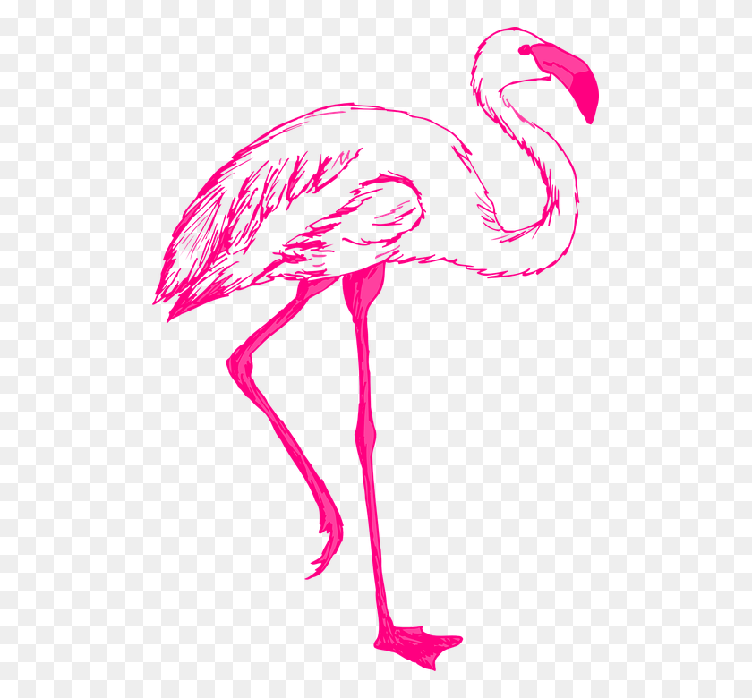 499x720 Розовые Птичьи Крылья Фламинго С Длинной Шеей, Ноги, Перья, Public Domain Flamingo Clipart Free, Animal Hd Png Download