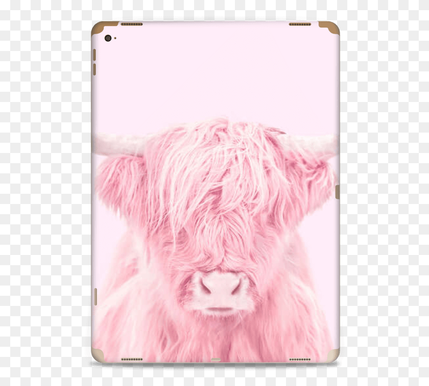 Pink Bull Skin Ipad Pro Highland Cattle, Mammal, Animal, Cow HD PNG Download
