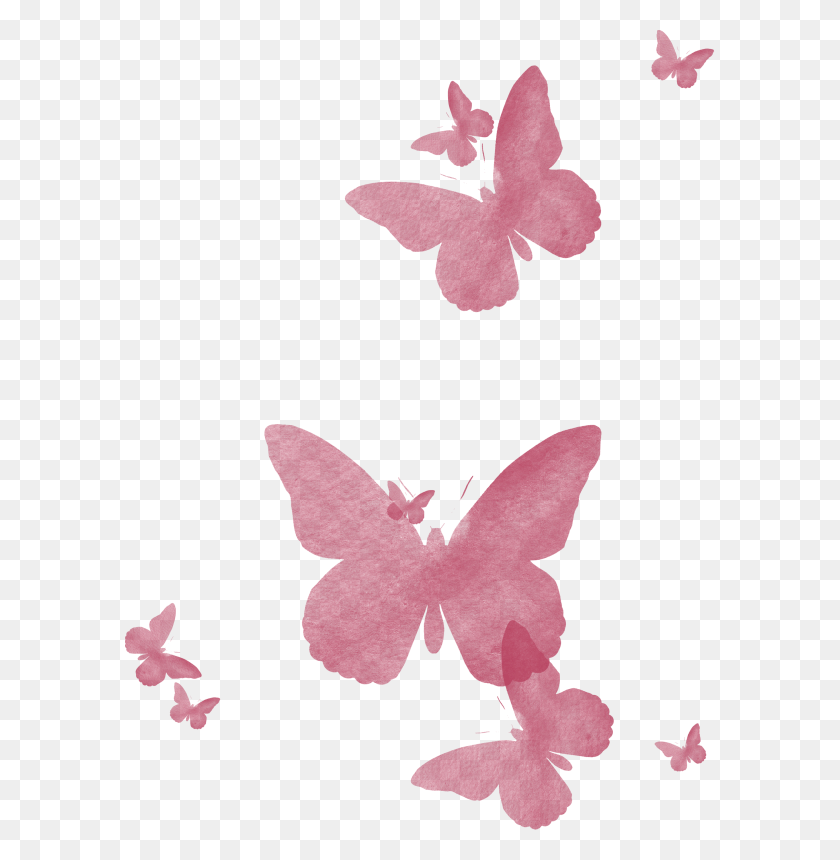 590x800 Pink Butterflies Butterfly Transparent Pink, Leaf, Plant, Symbol HD PNG Download