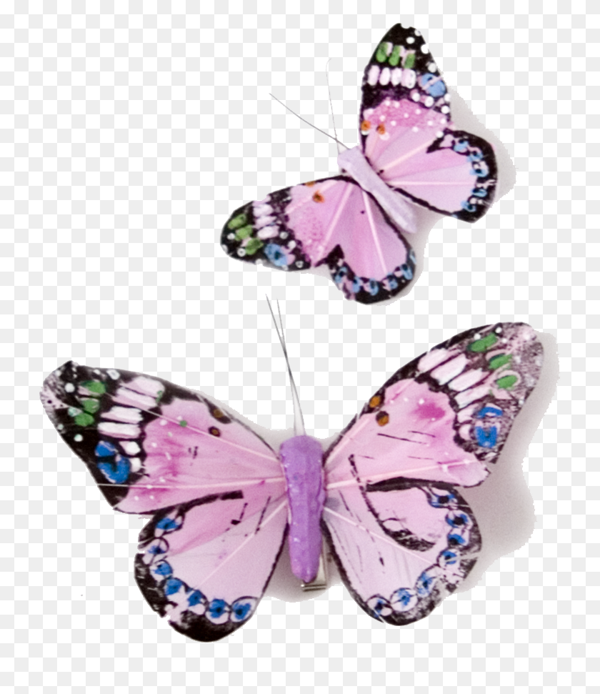 731x911 Розовая Бабочка Прозрачные Розовые Бабочки, Насекомое, Беспозвоночные, Животное Png Скачать