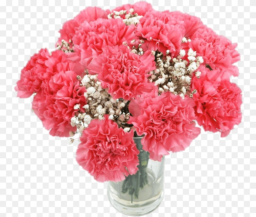 755x713 Pink Carnations Carnation Flower Bouquet, Flower Arrangement, Plant, Flower Bouquet PNG