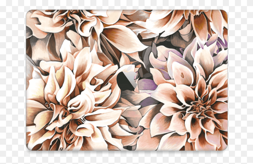 676x484 Descargar Png Pink Dahlia Skin Macbook Air Echeveria, Graphics, Diseño Floral Hd Png