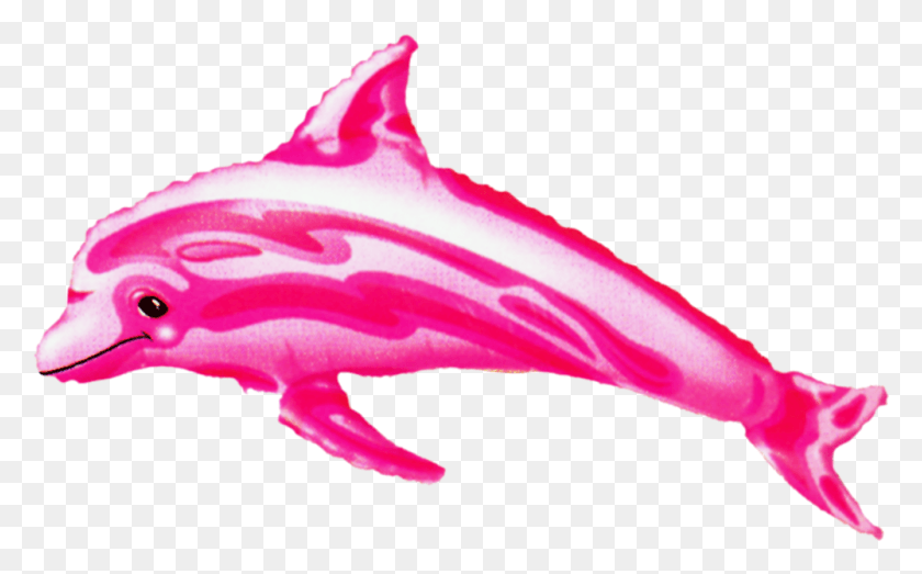 1000x594 Розовый Дельфин Воздушный Шар, Морская Жизнь, Животное, Млекопитающее Hd Png Скачать