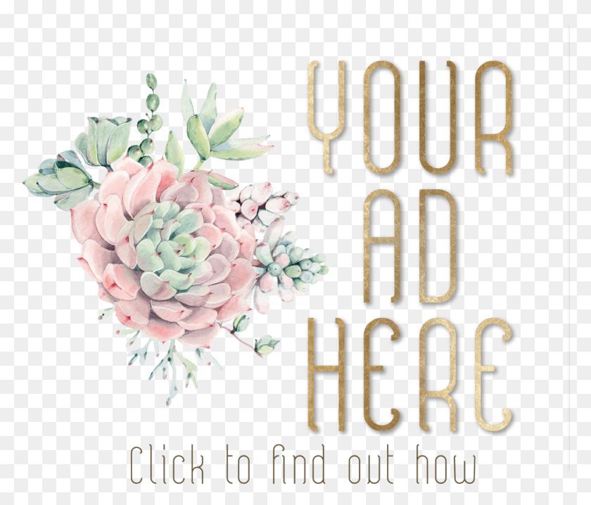 984x831 Pink Echeveria Light Green White Mexican Rose, Graphics, Floral Design HD PNG Download