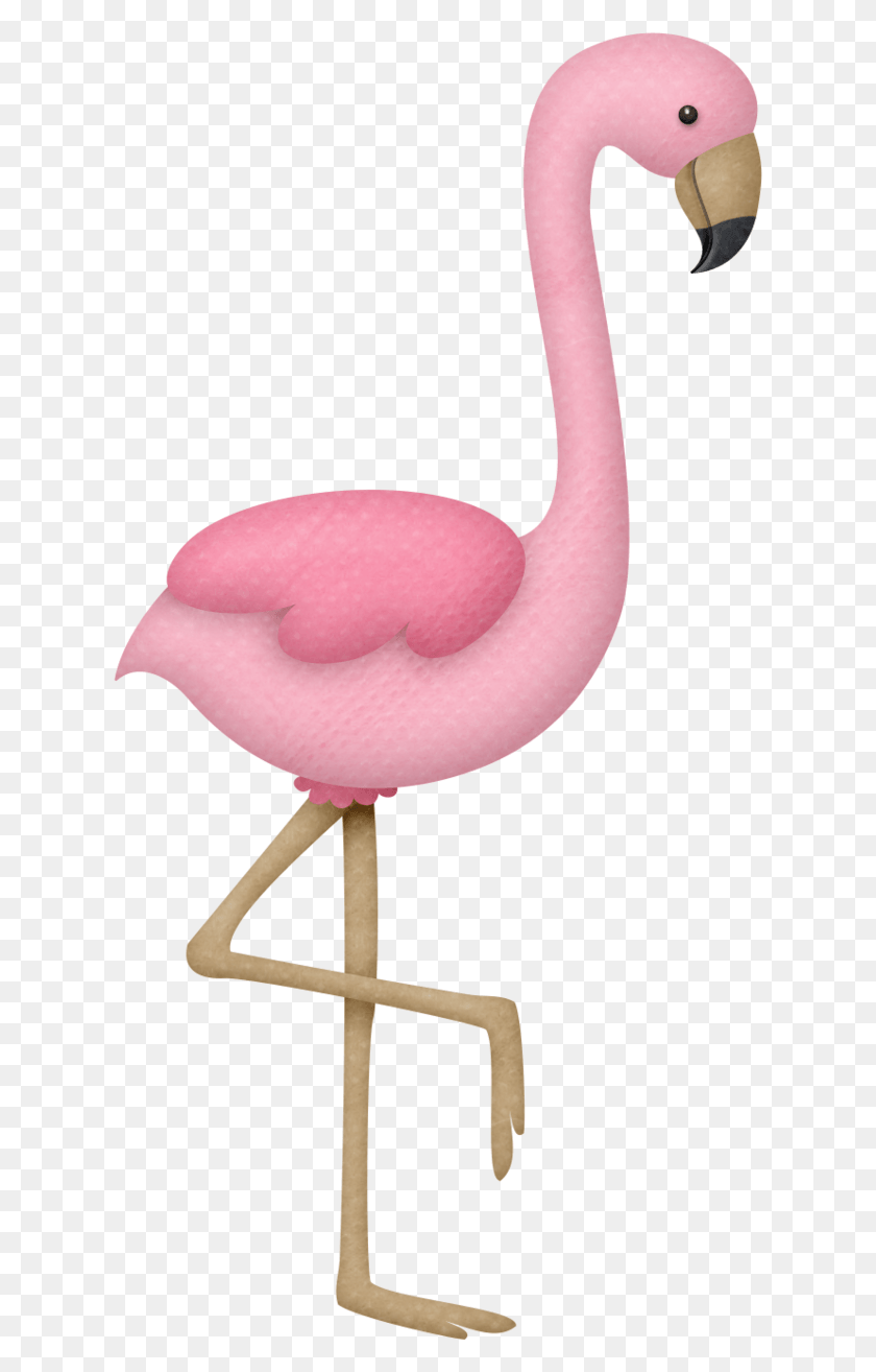 623x1254 Розовый Фламинго Фламинго Клипарт, Птица, Животное Hd Png Скачать