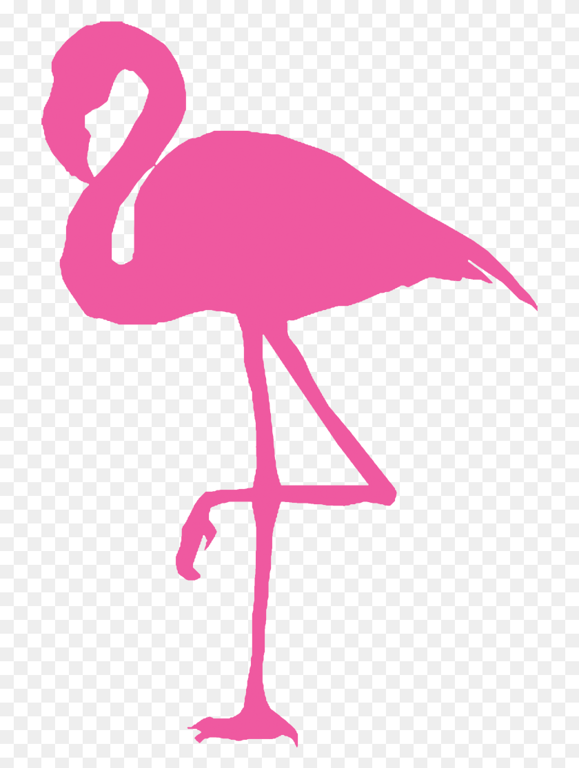 721x1055 Pink Flamingo Flamingo Decal, Bird, Animal, Cross HD PNG Download