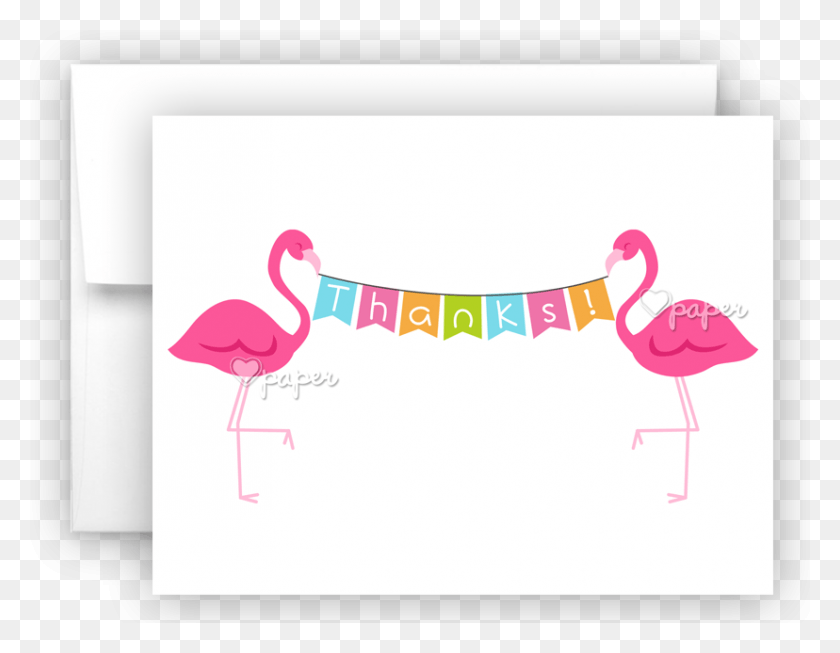 828x630 Розовый Фламинго Благодарственные Открытки Заметка Карта Канцелярские Товары Большой Фламинго, Птица, Животное Hd Png Скачать