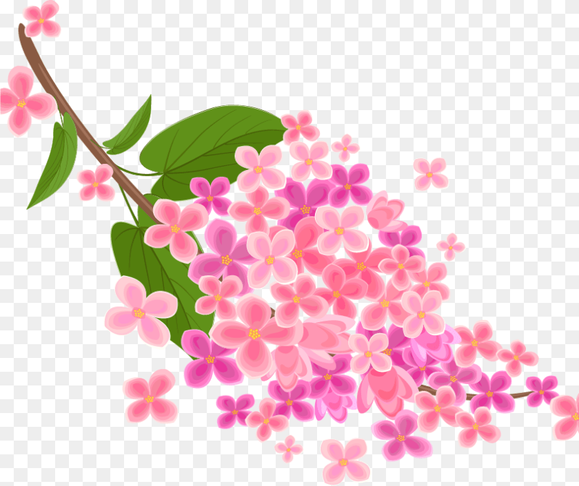 Pink Floral Design Vector, Flower, Petal, Plant, Lilac PNG