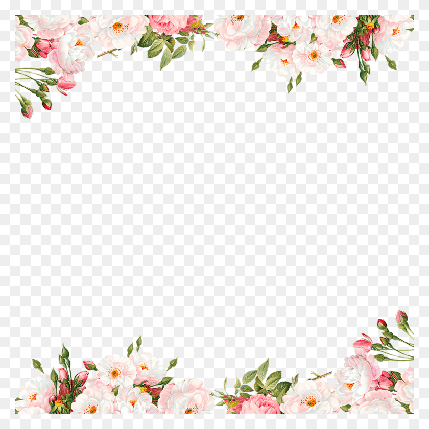 2048x2048 Pink Flower Border, Plant, Flower, Blossom Descargar Hd Png
