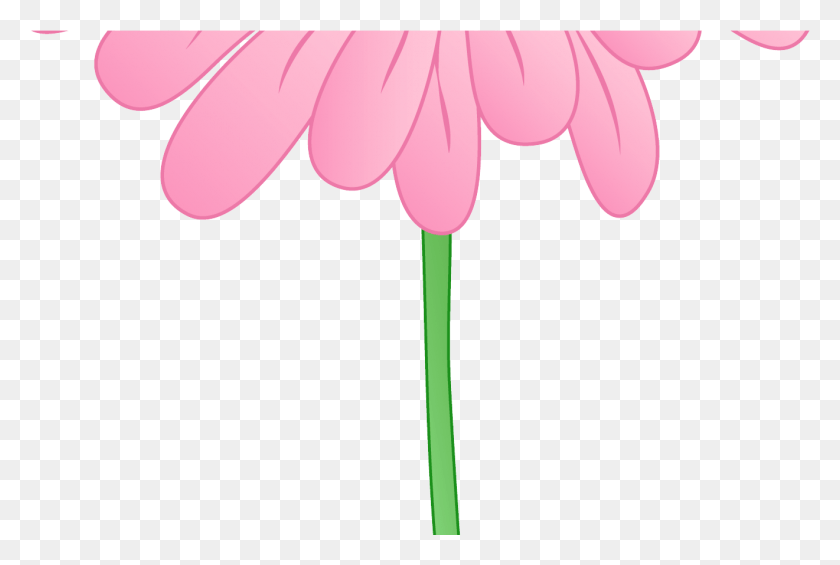 1321x856 Pink Flower Border Clipart Clipart Panda Free Clipart Clip Art, Plant, Daisy, Flower HD PNG Download