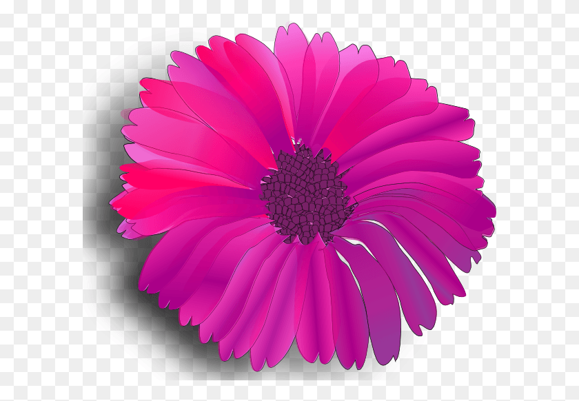 600x522 Pink Flower Clip Art, Plant, Petal, Flower HD PNG Download