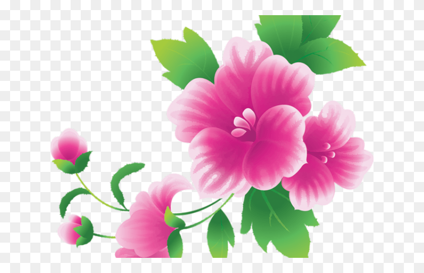 640x480 Розовый Цветок Клипарт Подробные Цветочные Картинки, Растение, Гибискус, Цветение Hd Png Скачать