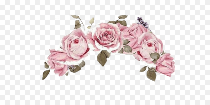 590x360 Розовый Цветок Корона Цветок Корона Цветок, Растение, Цветок, Лепесток Hd Png Скачать