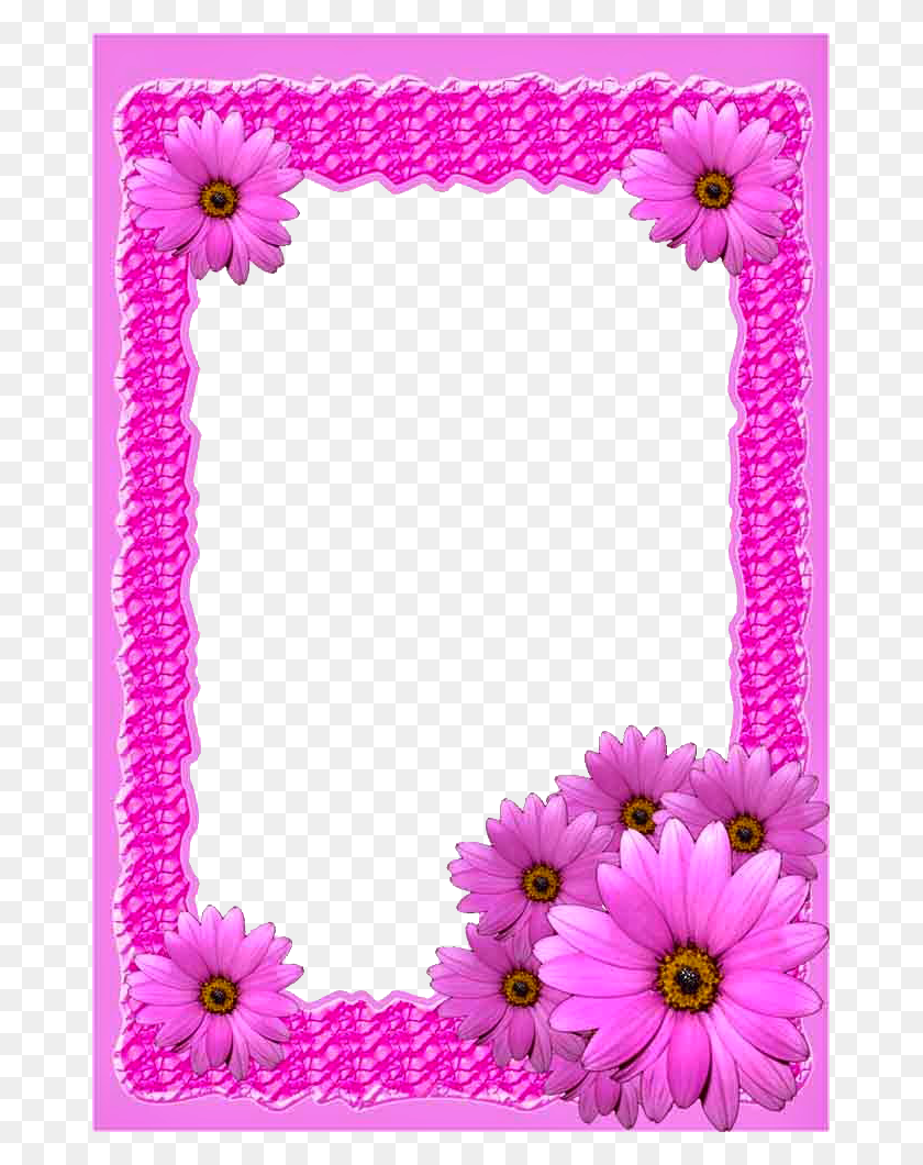 671x1000 Pink Flower Frame Frame Background Free, Plant, Rug, Flower HD PNG Download