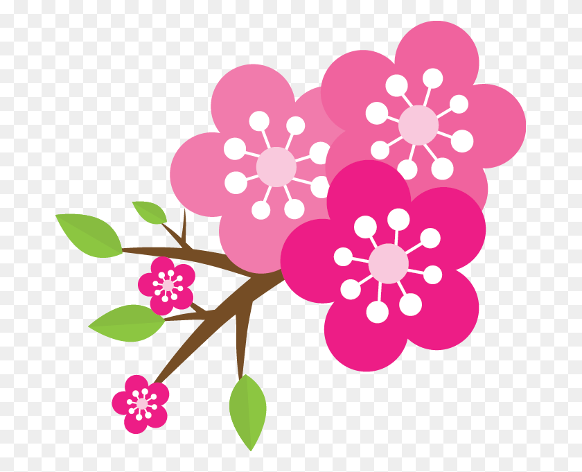 679x621 Розовый Цветок Gilliflower, Растение, Графика Hd Png Скачать
