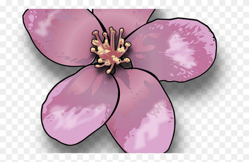 1368x855 Pink Flower Vector Graphics Pixabay Free Images Apple Blossom Flower Clipart, Plant, Petal, Geranium HD PNG Download