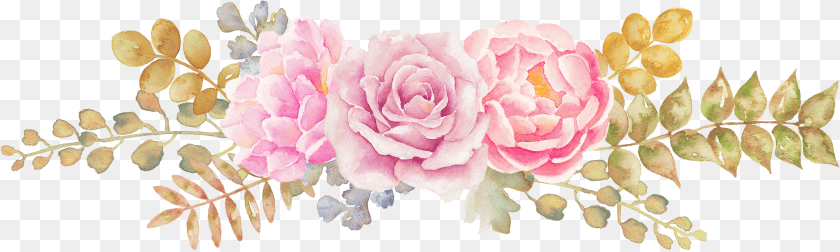 4635x1392 Pink Flower Watercolor Drawing Clipart PNG