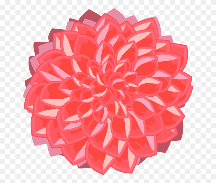 665x654 Розовые Цветы Рисунок Красный Лепесток Георгин, Цветок, Растение, Цветение Hd Png Скачать